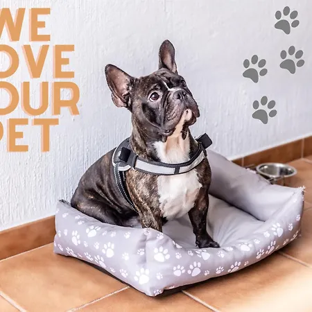 Mambo Эль-Пальмар