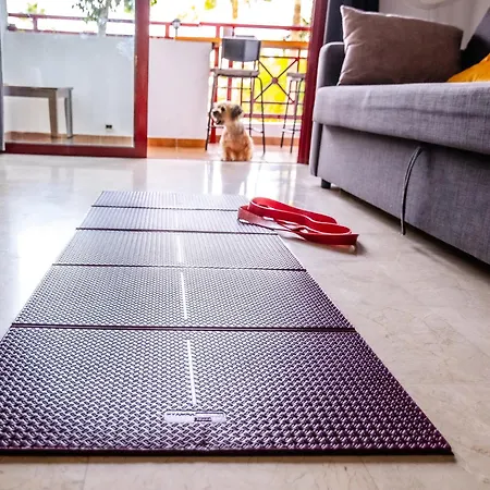 Mambo Апартаменты Эль-Пальмар