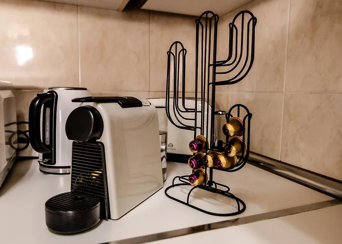 Mambo * 滨海帕尔姆