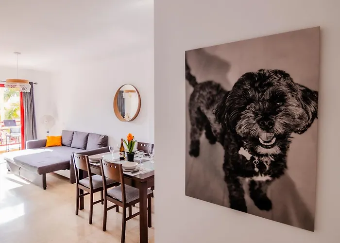 Mambo 滨海帕尔姆