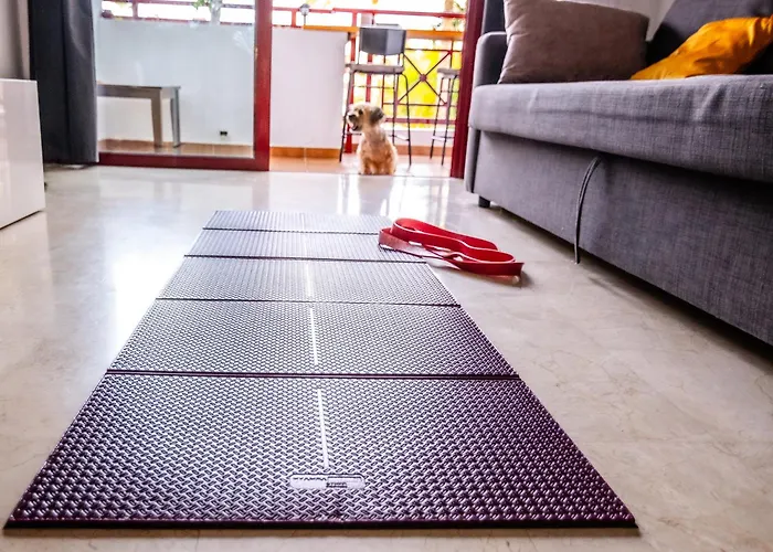 Mambo Daire Palm-mar