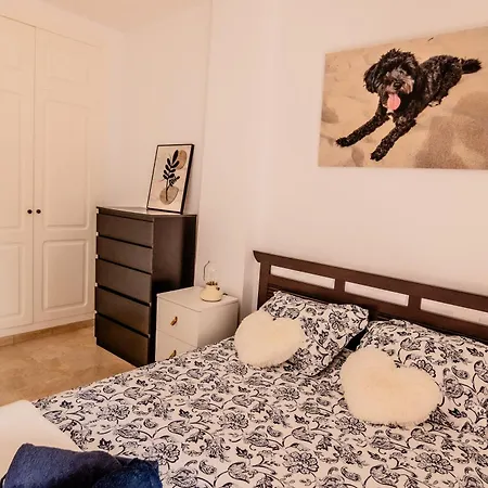 Apartment Mambo *